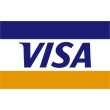 Visa國際組織