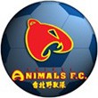 TaipeiAnimals